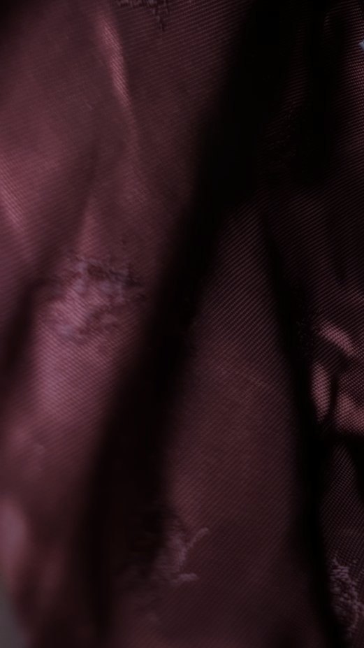 Detail of the red printed satin lining, ladybirds visible across the folds